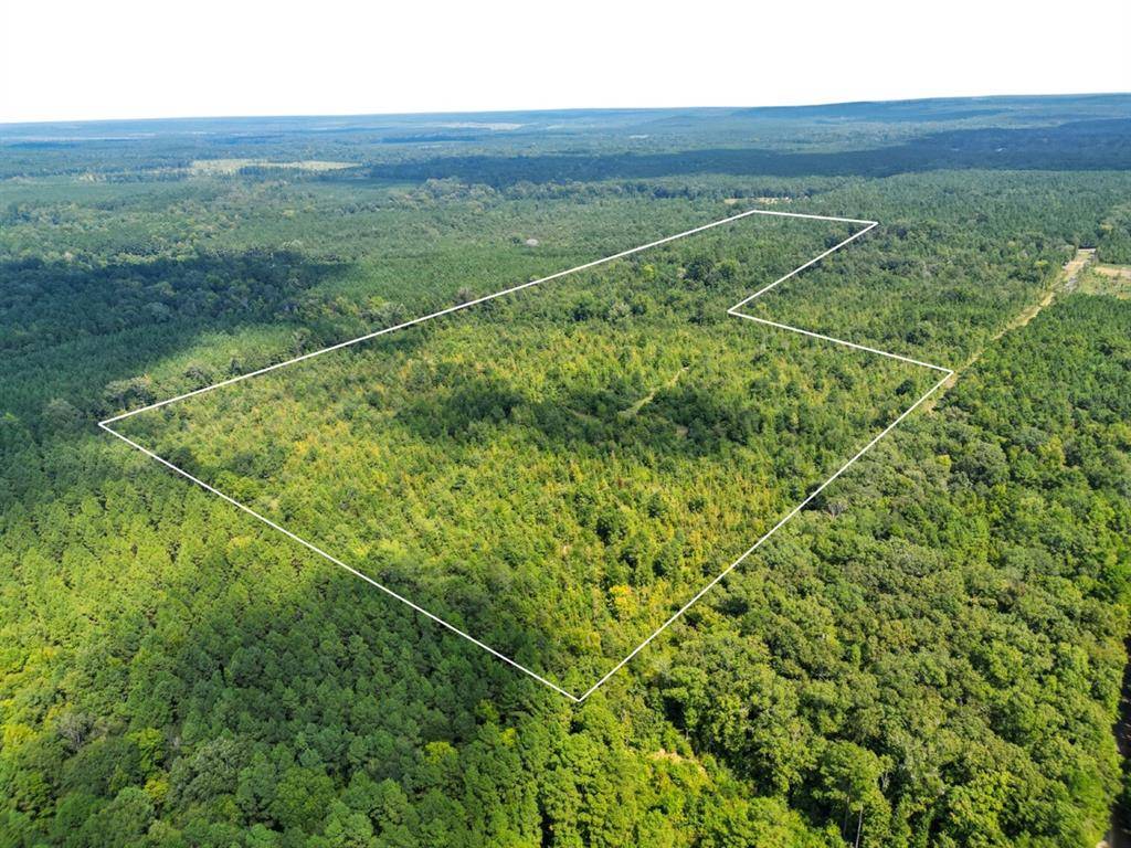 2918 LA-153 Highway, Castor, LA 71016