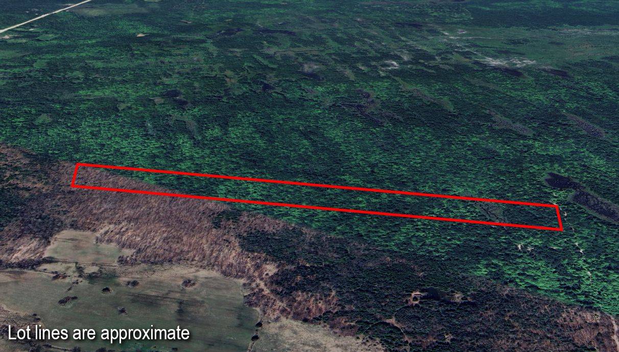 101 Log Cabin LN, South Bruce Peninsula, ON N0H 2T0