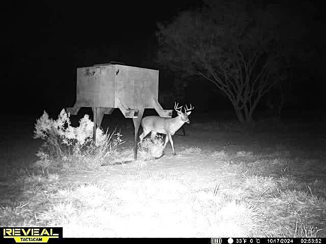 16820 County Road 429, Cross Plains, TX 76443