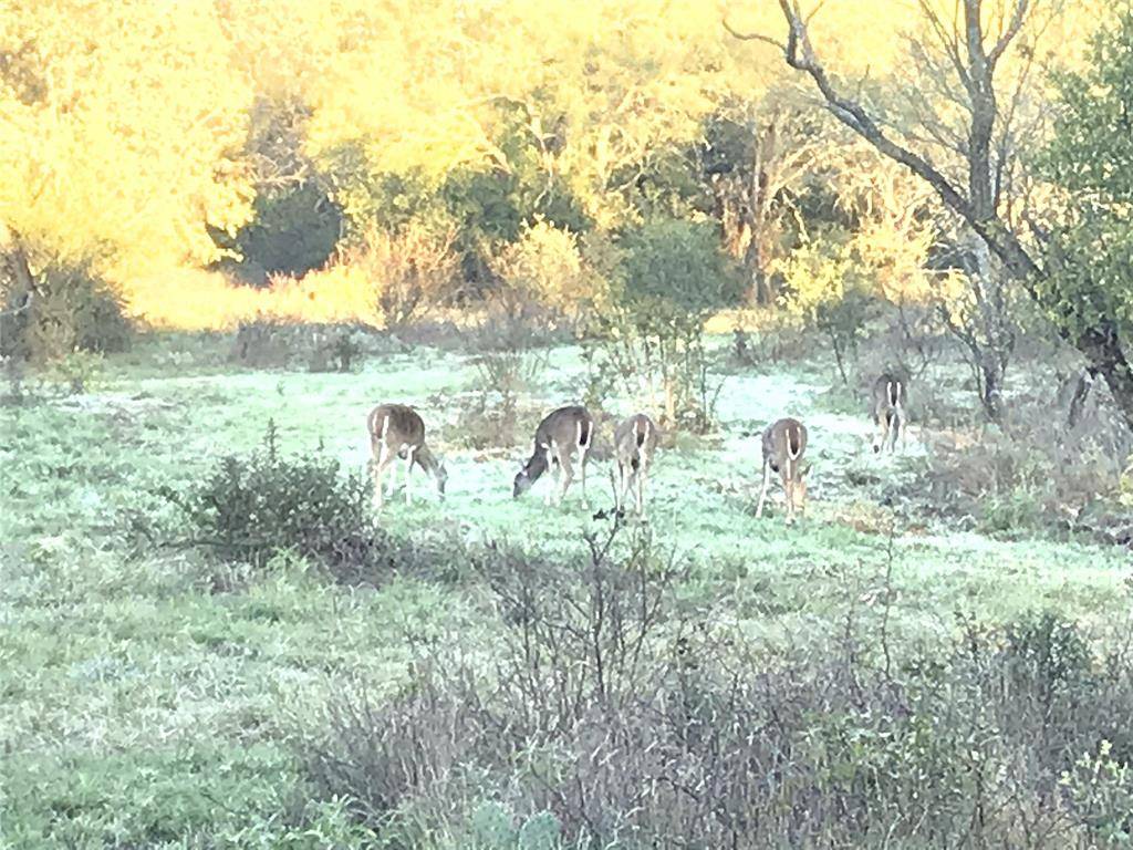 16820 County Road 429, Cross Plains, TX 76443