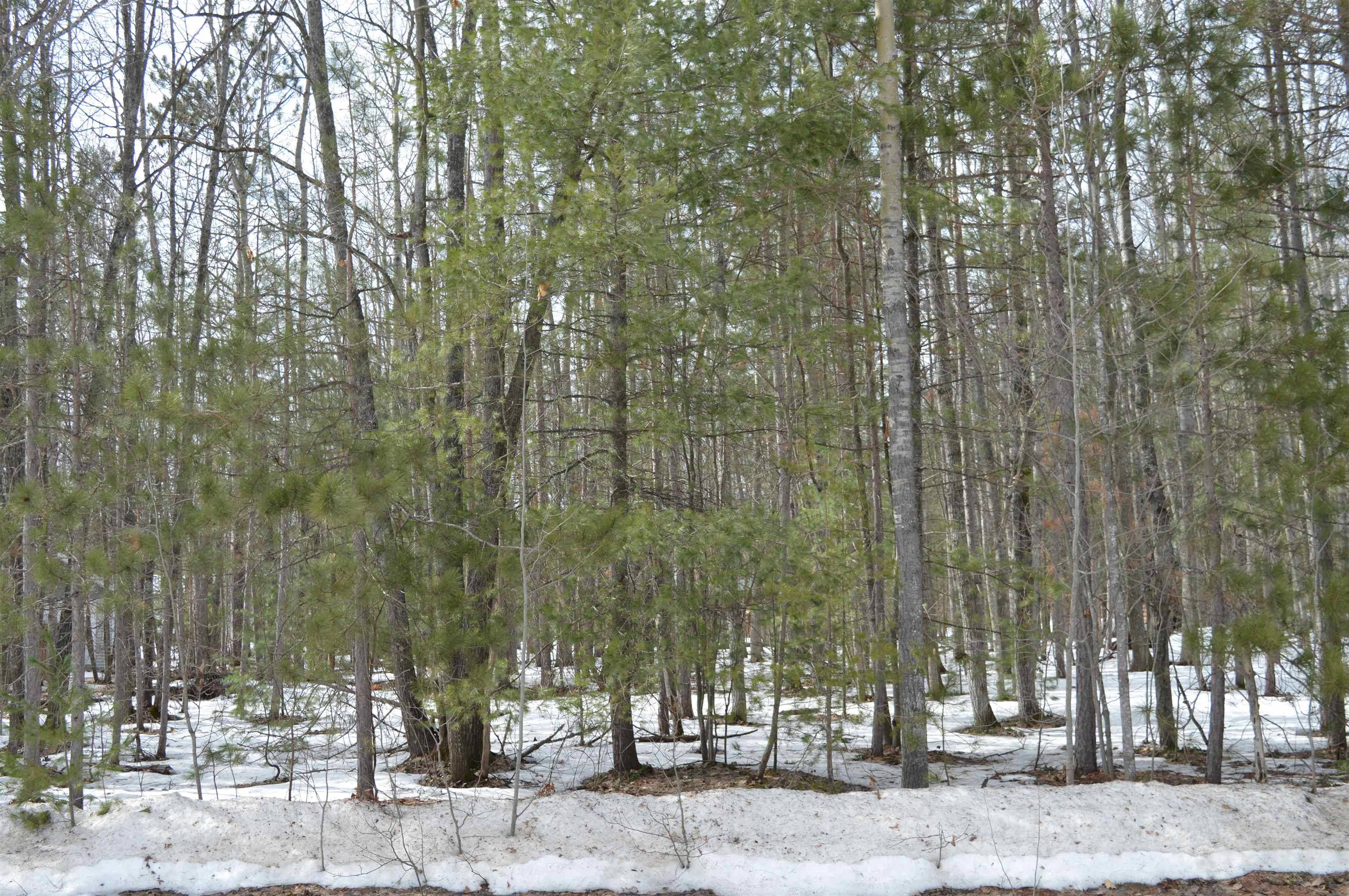 1949 Fairways DR, Kalkaska Twp, MI 49646