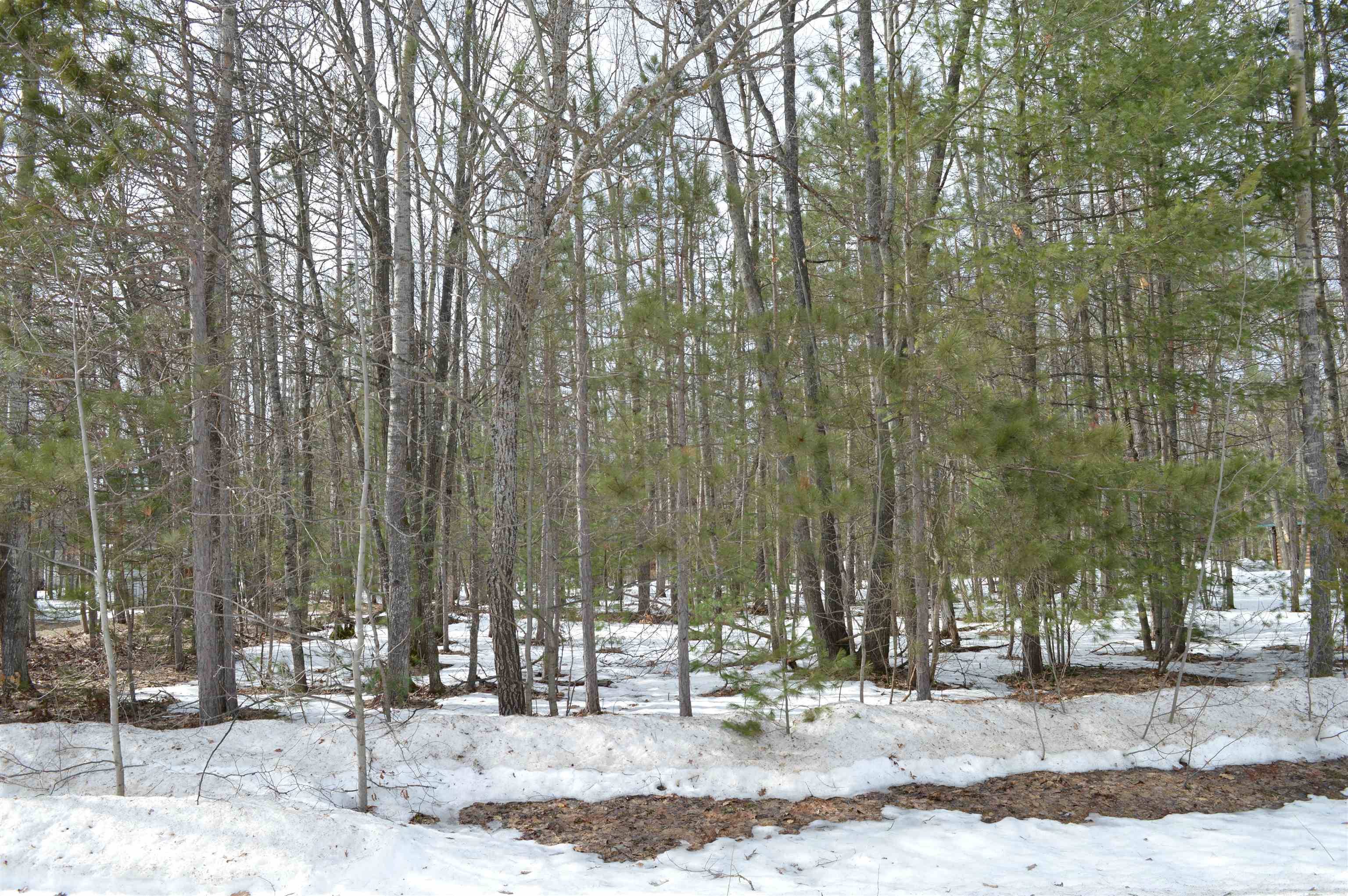 1949 Fairways DR, Kalkaska Twp, MI 49646