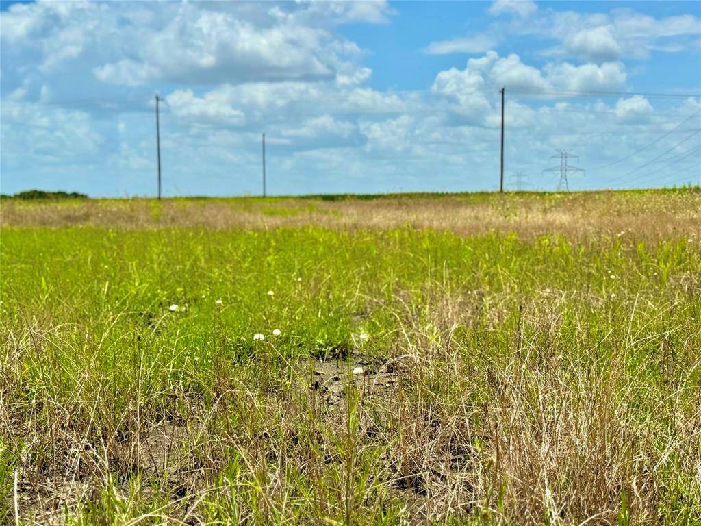 Lot 8 CR-590, Nevada, TX 75173