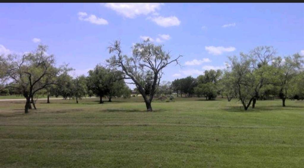 0 Brushy Creek Court, Royse City, TX 75189