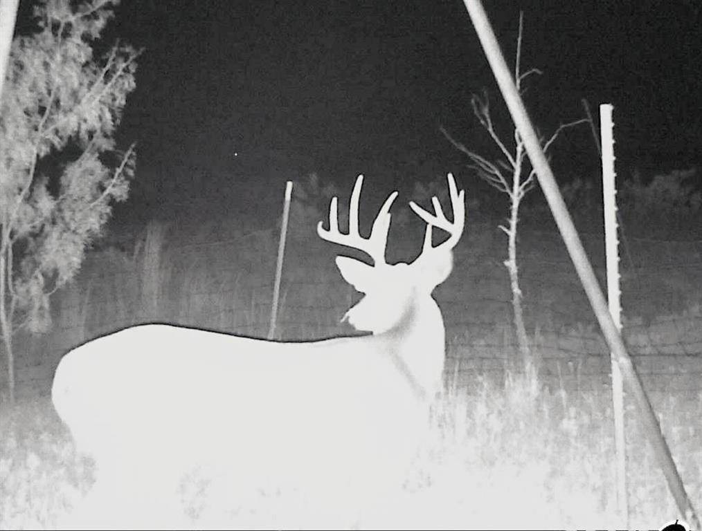 3402 County Road 196, Blackwell, TX 79506