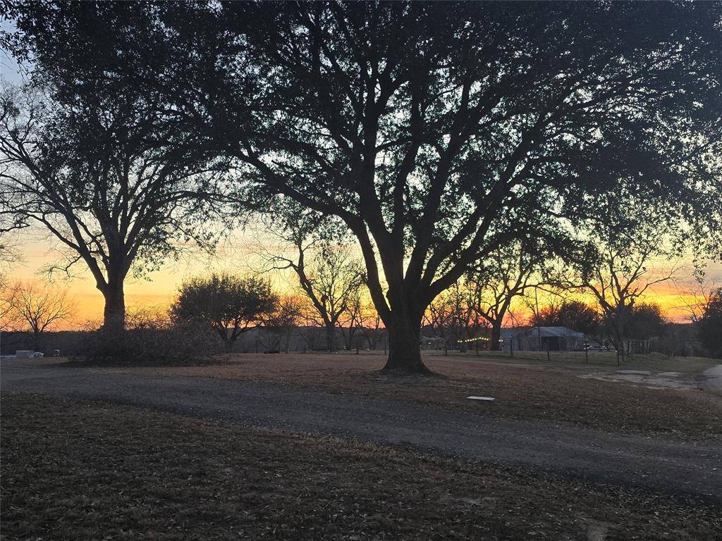 20086 County Road 299, Arp, TX 75750