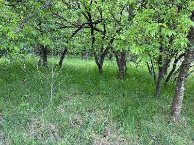 1980 Fm 933, Aquilla, TX 76622