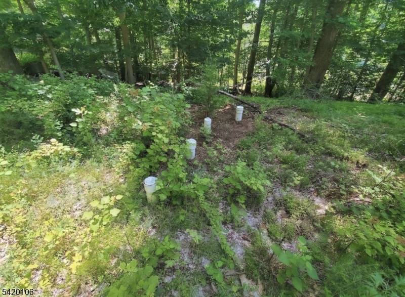 76 Skytop Rd, Andover Twp., NJ 07860