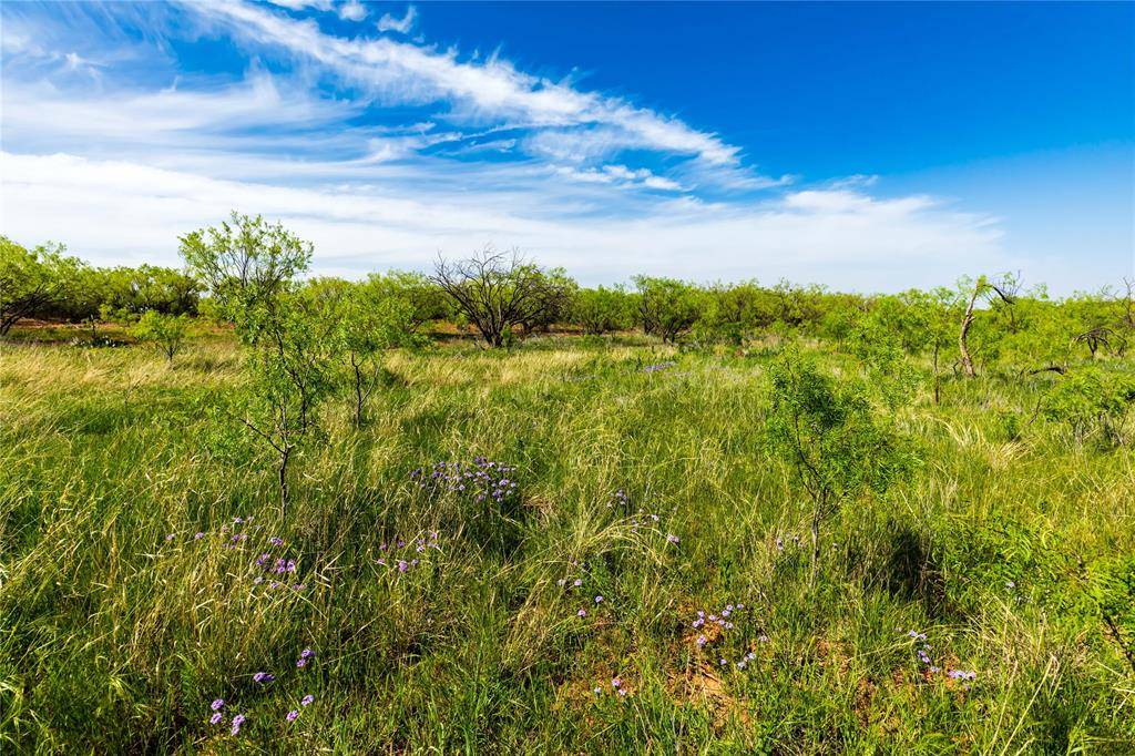 Address not disclosed, Abilene, TX 79606