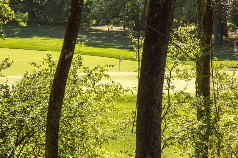 149 Overleigh Rd, Bernardsville Boro, NJ 07924