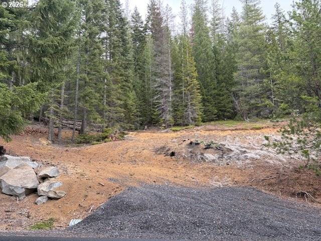 6 Royce Pine RD, Crescent Lake, OR 97733