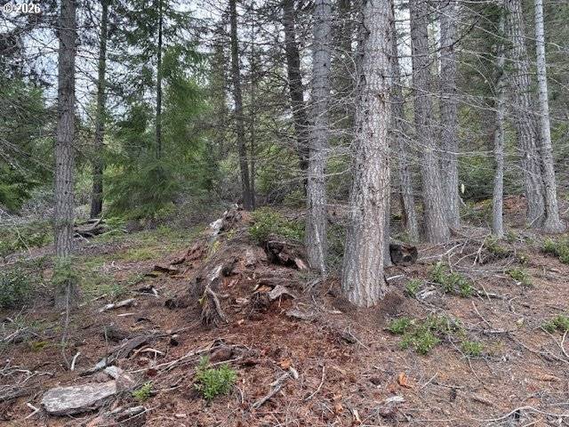 6 Royce Pine RD, Crescent Lake, OR 97733