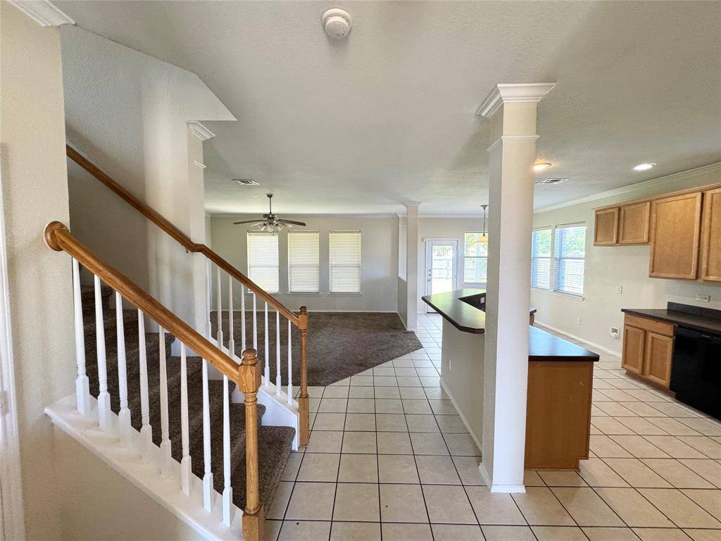 203 Spruce Trail, Forney, TX 75126