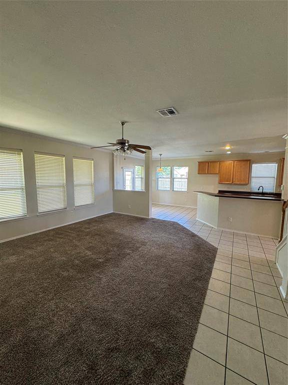 203 Spruce Trail, Forney, TX 75126