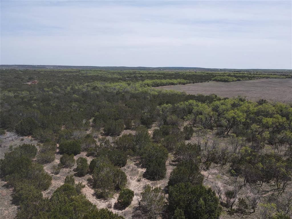 TBD FM 1086 FM 1086, No City, TX 75966