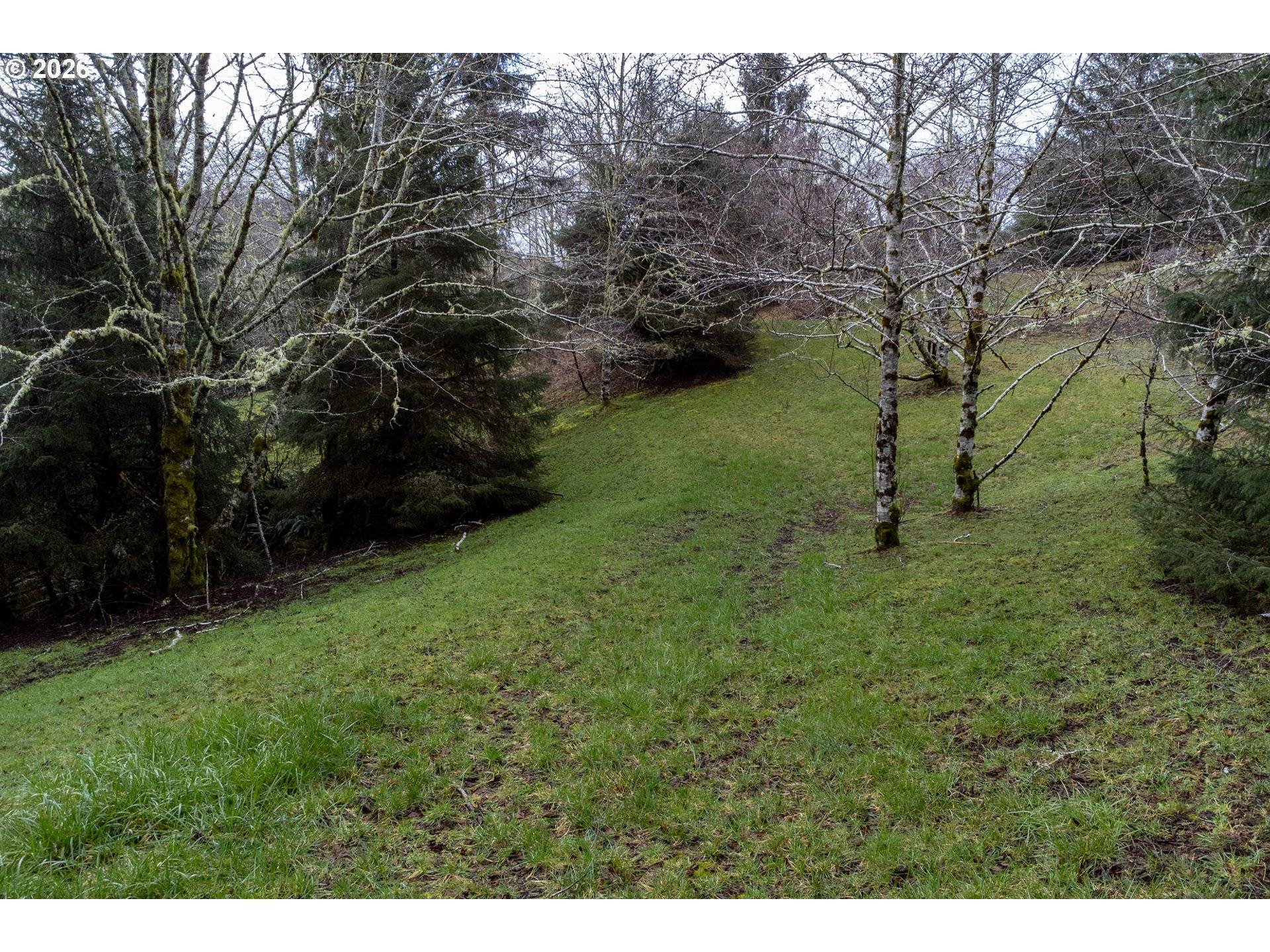 Aleolian Way, Neskowin, OR 97149