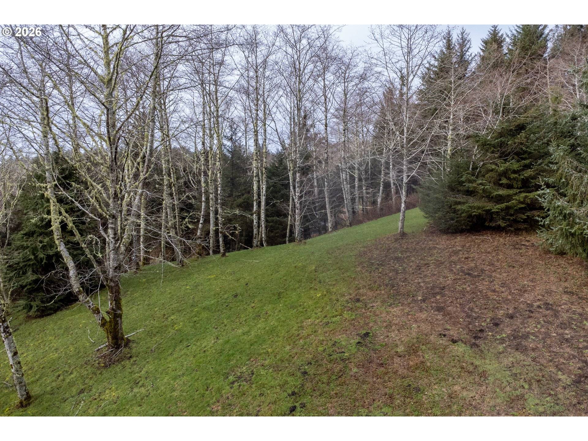 Aleolian Way, Neskowin, OR 97149