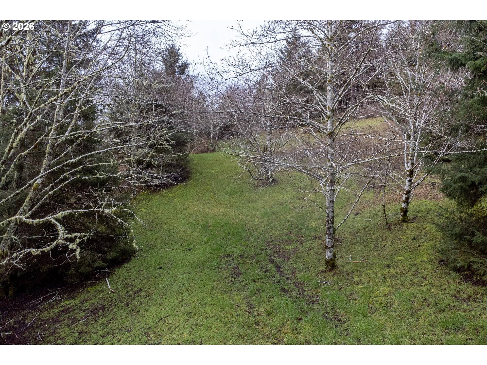 Aleolian Way, Neskowin, OR 97149