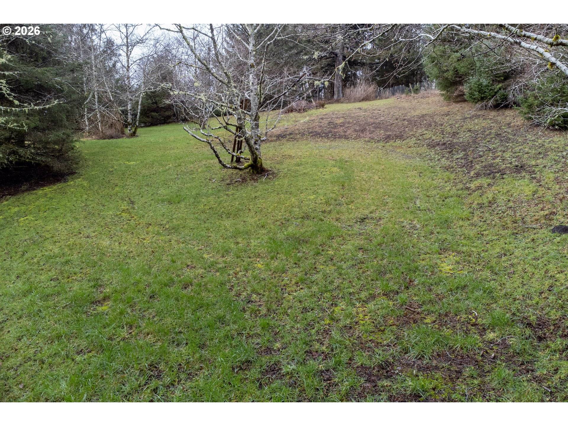 Aleolian Way, Neskowin, OR 97149