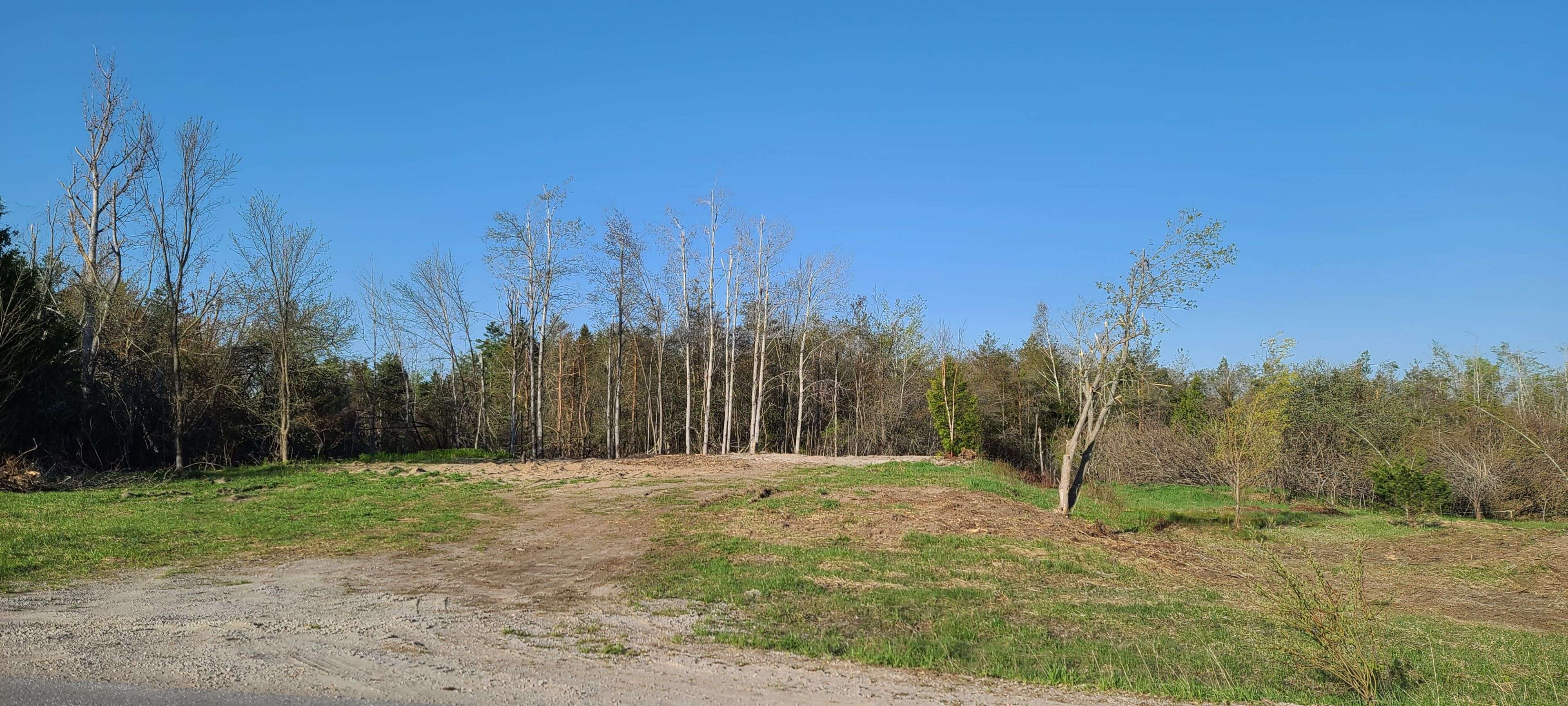 466 Line 2 Line, Oro-medonte, ON L0L 2L0