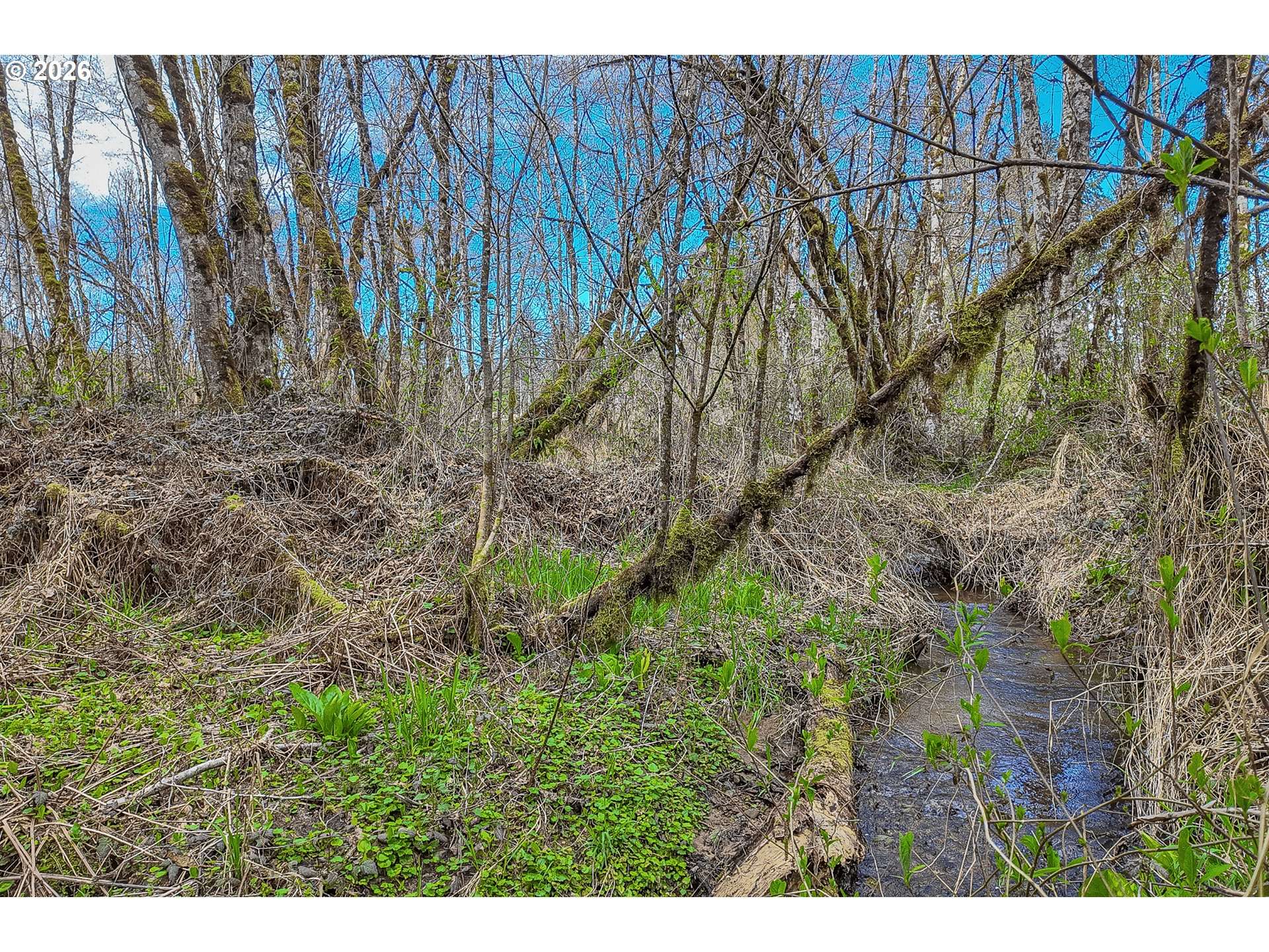 21542 HIGHWAY 126, Noti, OR 97461