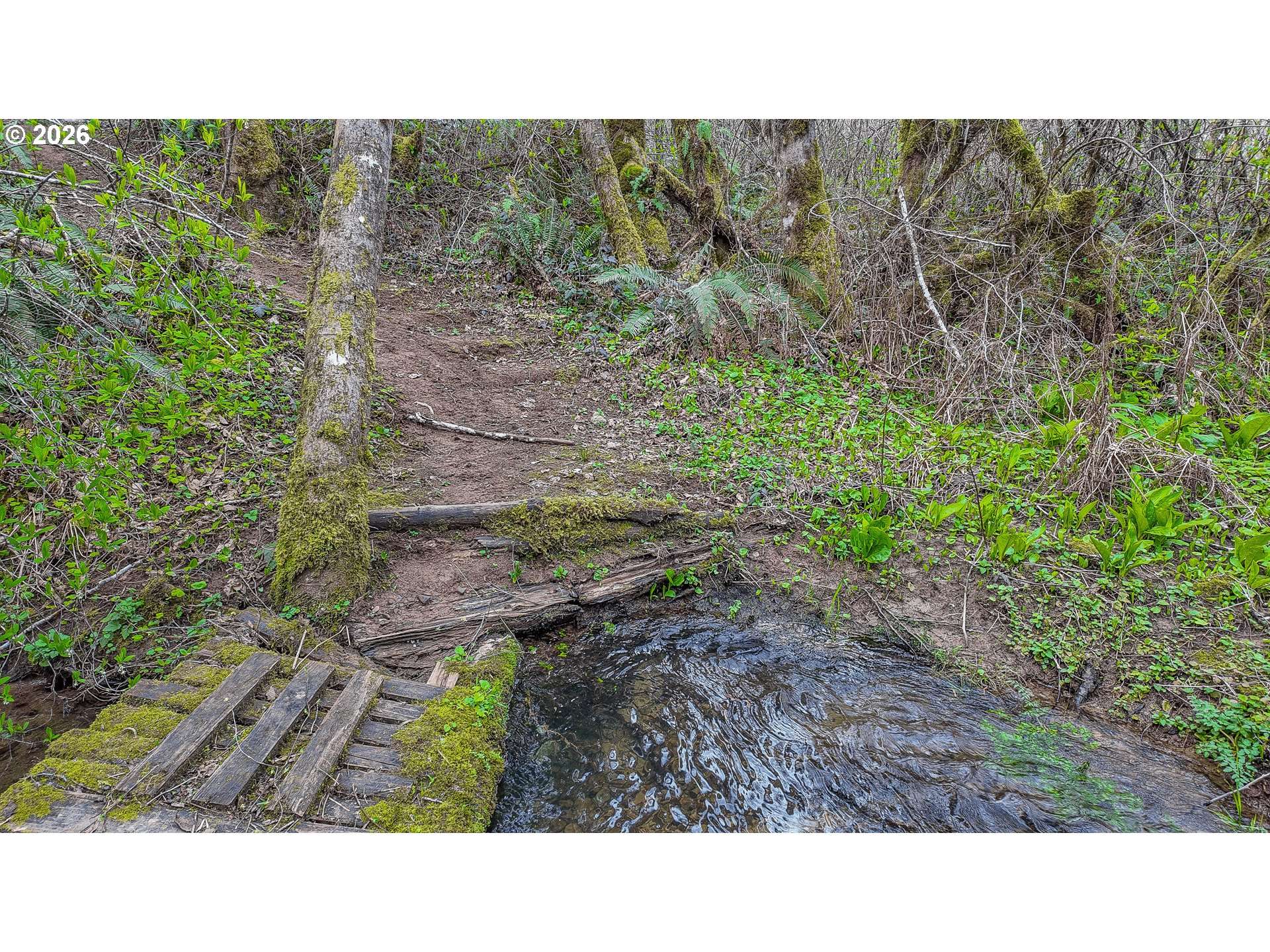 21542 HIGHWAY 126, Noti, OR 97461