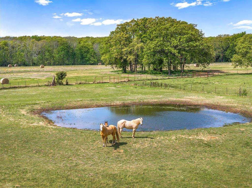 260 Vz County Road 3531, Edgewood, TX 75117