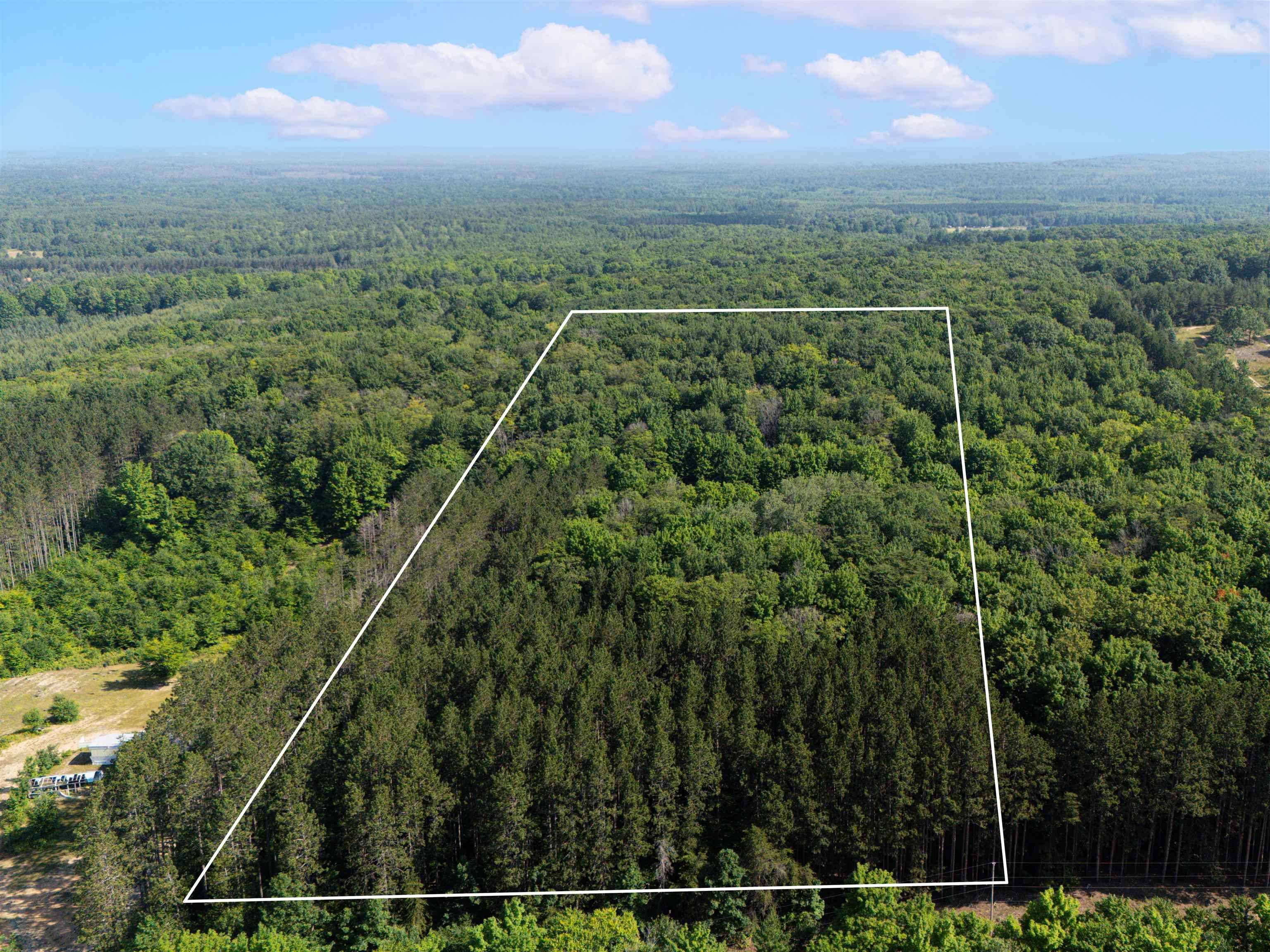 VL W Phelps RD, Bloomfield Twp, MI 49663