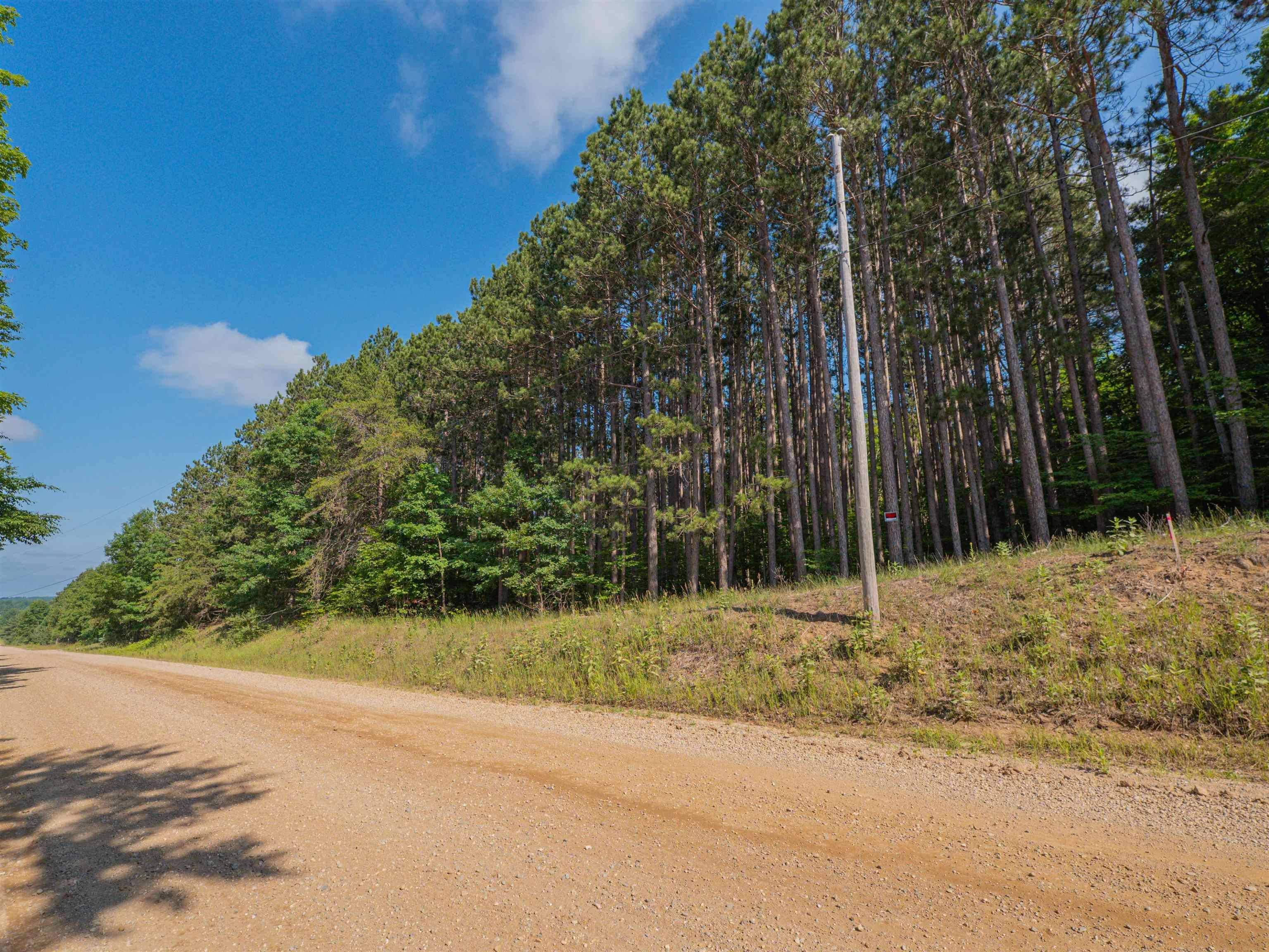 VL W Phelps RD, Bloomfield Twp, MI 49663