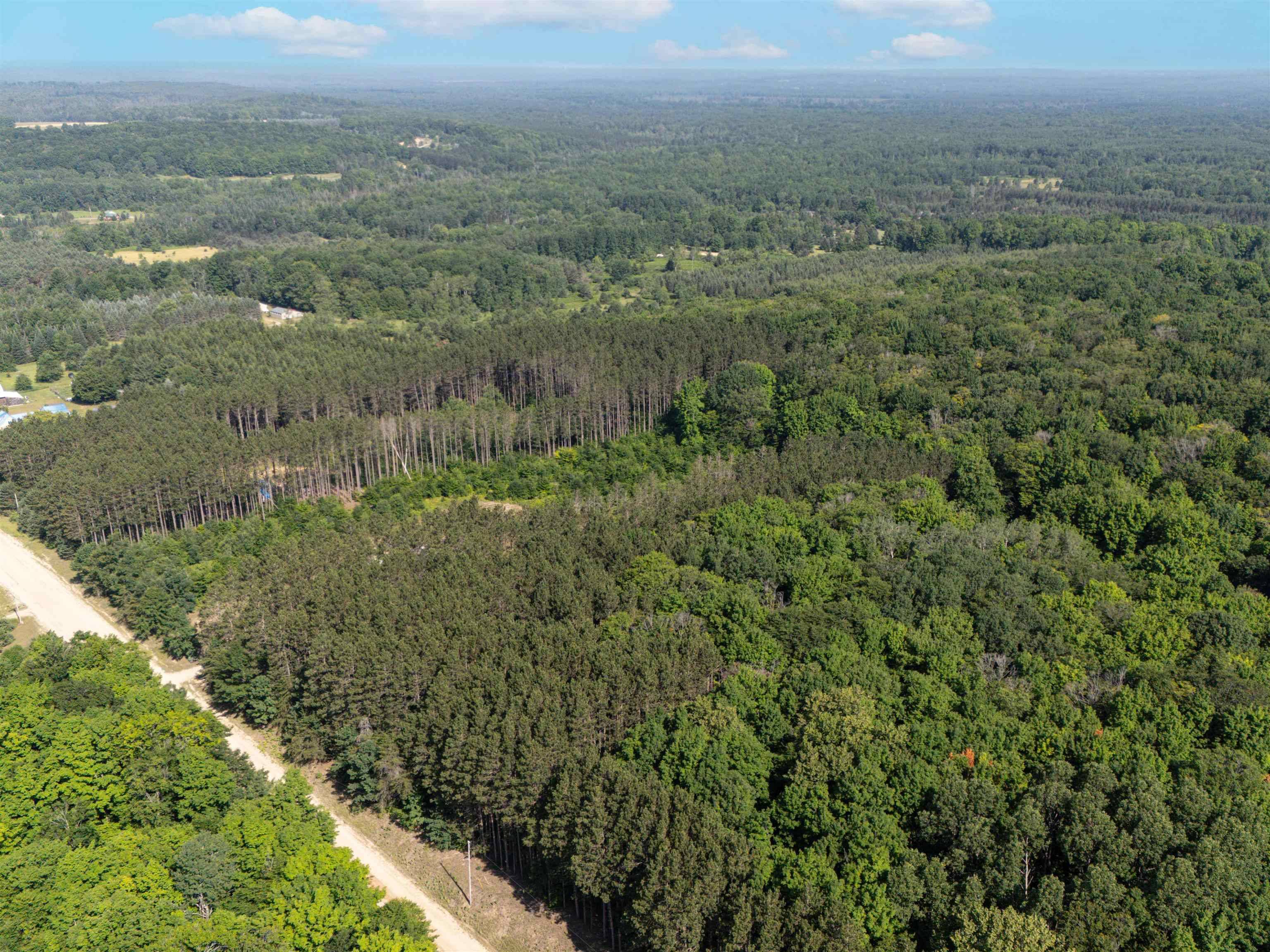 VL W Phelps RD, Bloomfield Twp, MI 49663