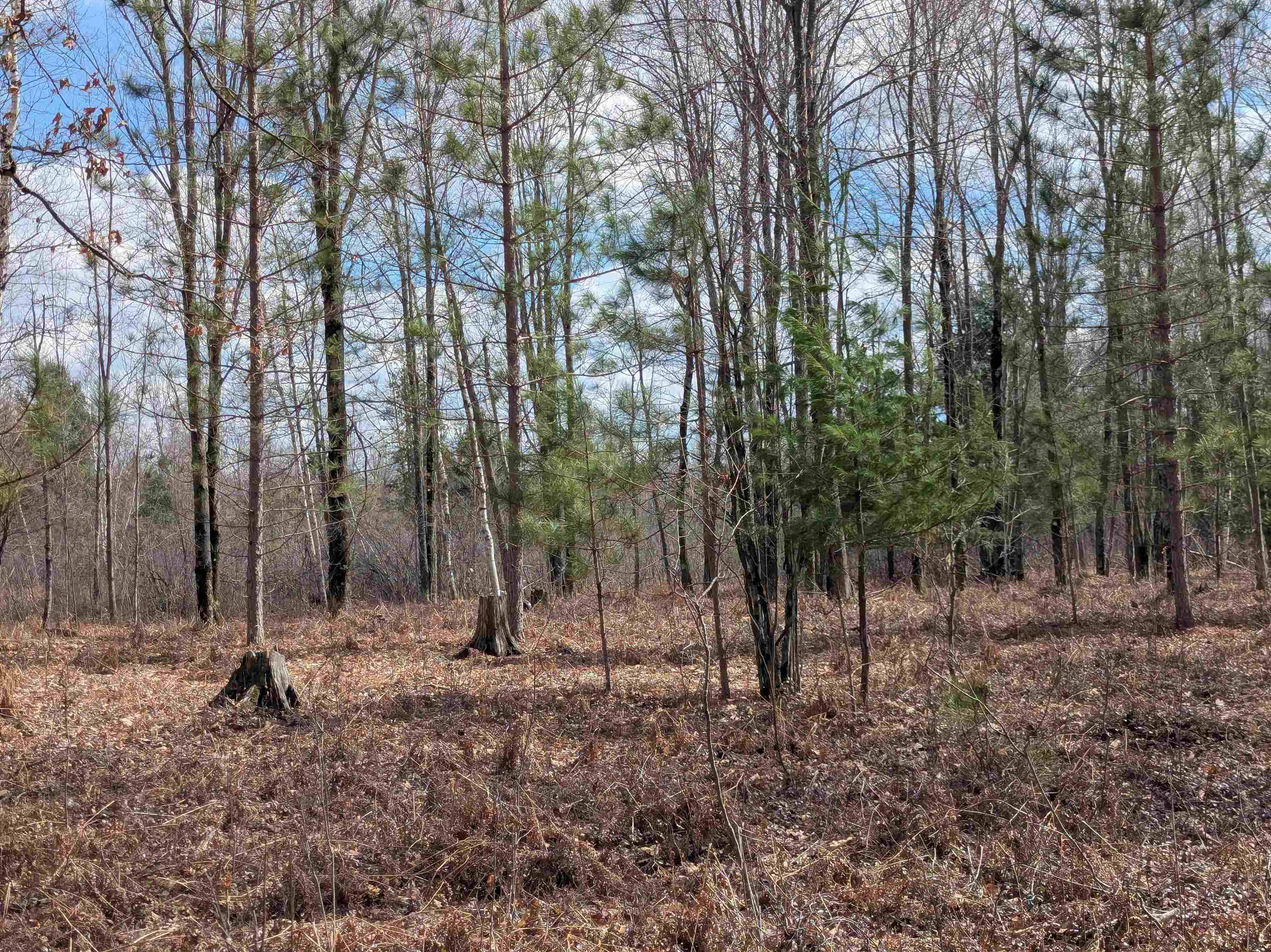 3201 Franklin RD, Bourret Twp, MI 48610