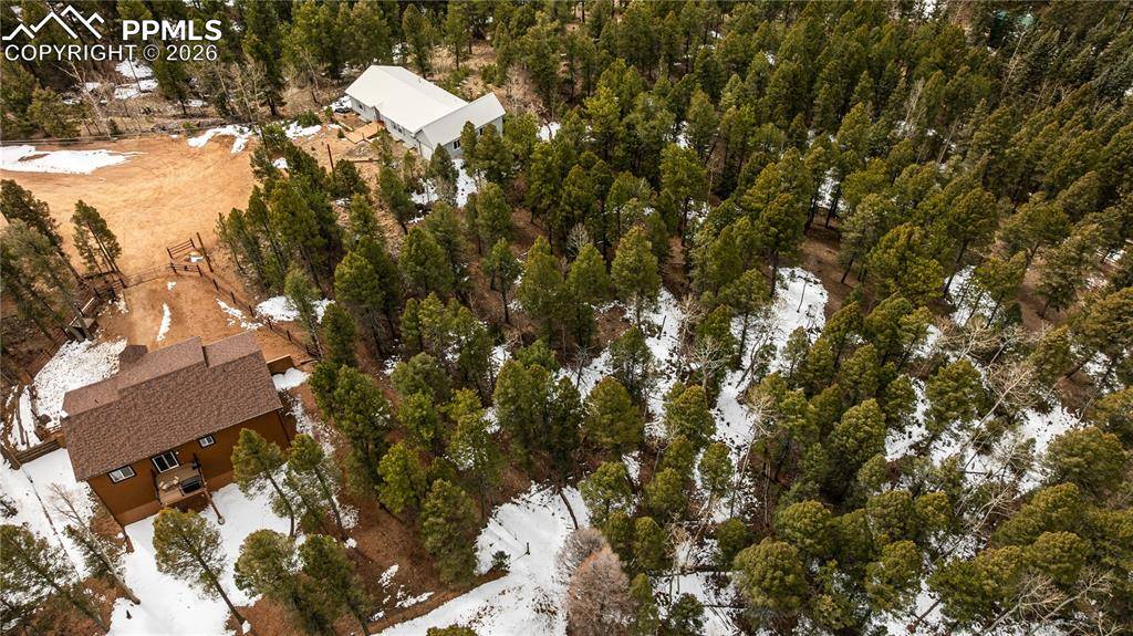 43 Dusti CIR, Florissant, CO 80816