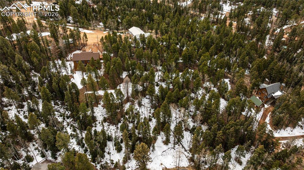 43 Dusti CIR, Florissant, CO 80816