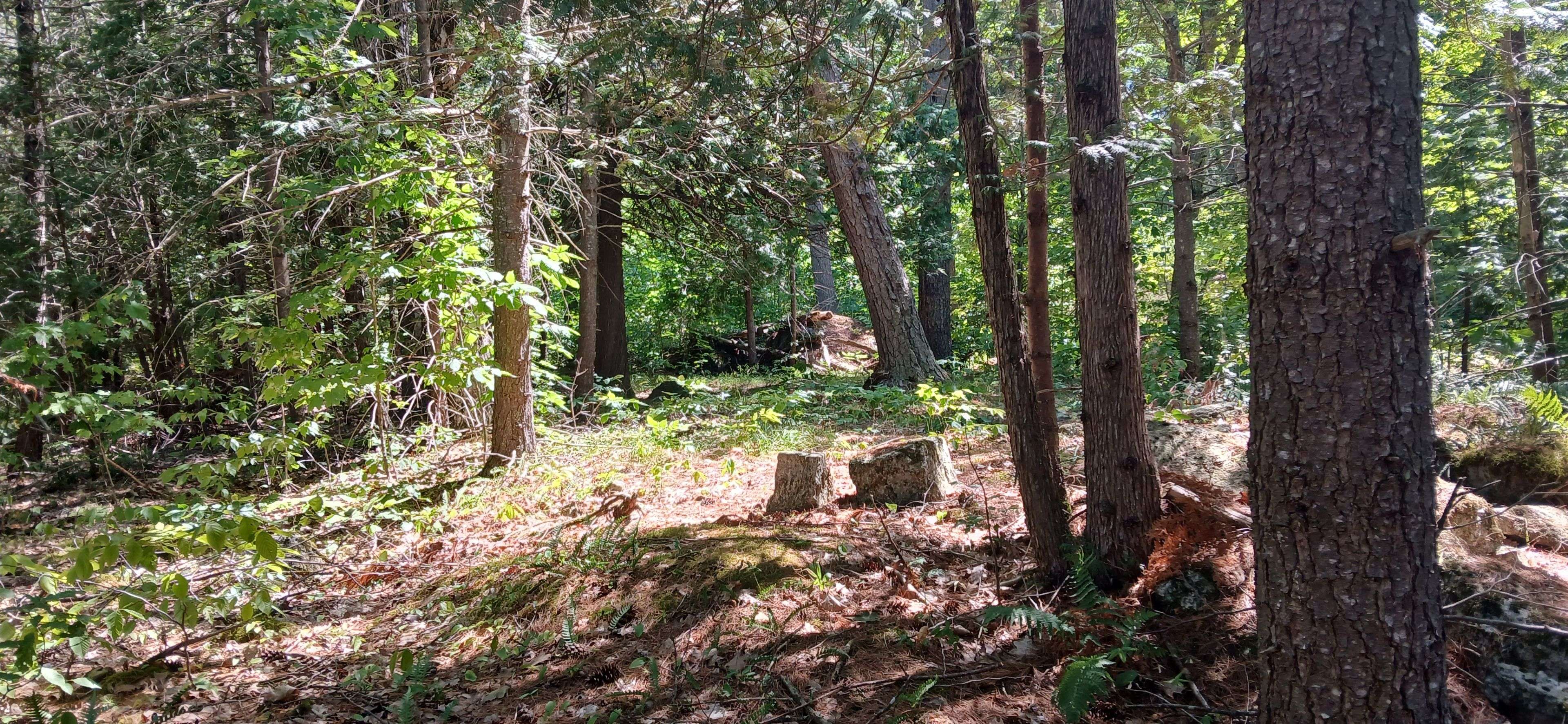 1050 Lodge LN, Leeds And The Thousand Islands, ON K0G 1E0