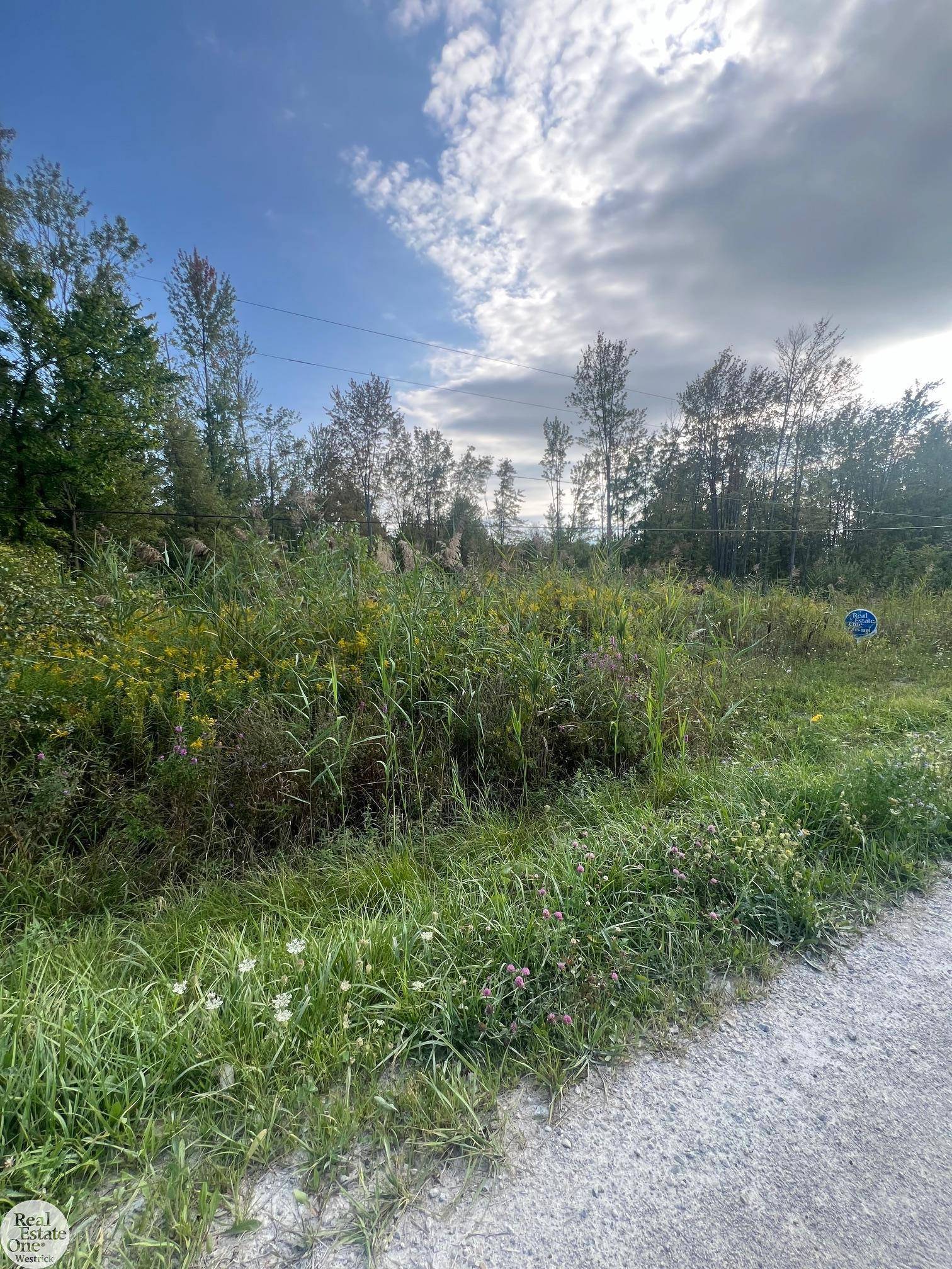 0 Broadbridge RD, Cottrellville Twp, MI 48039