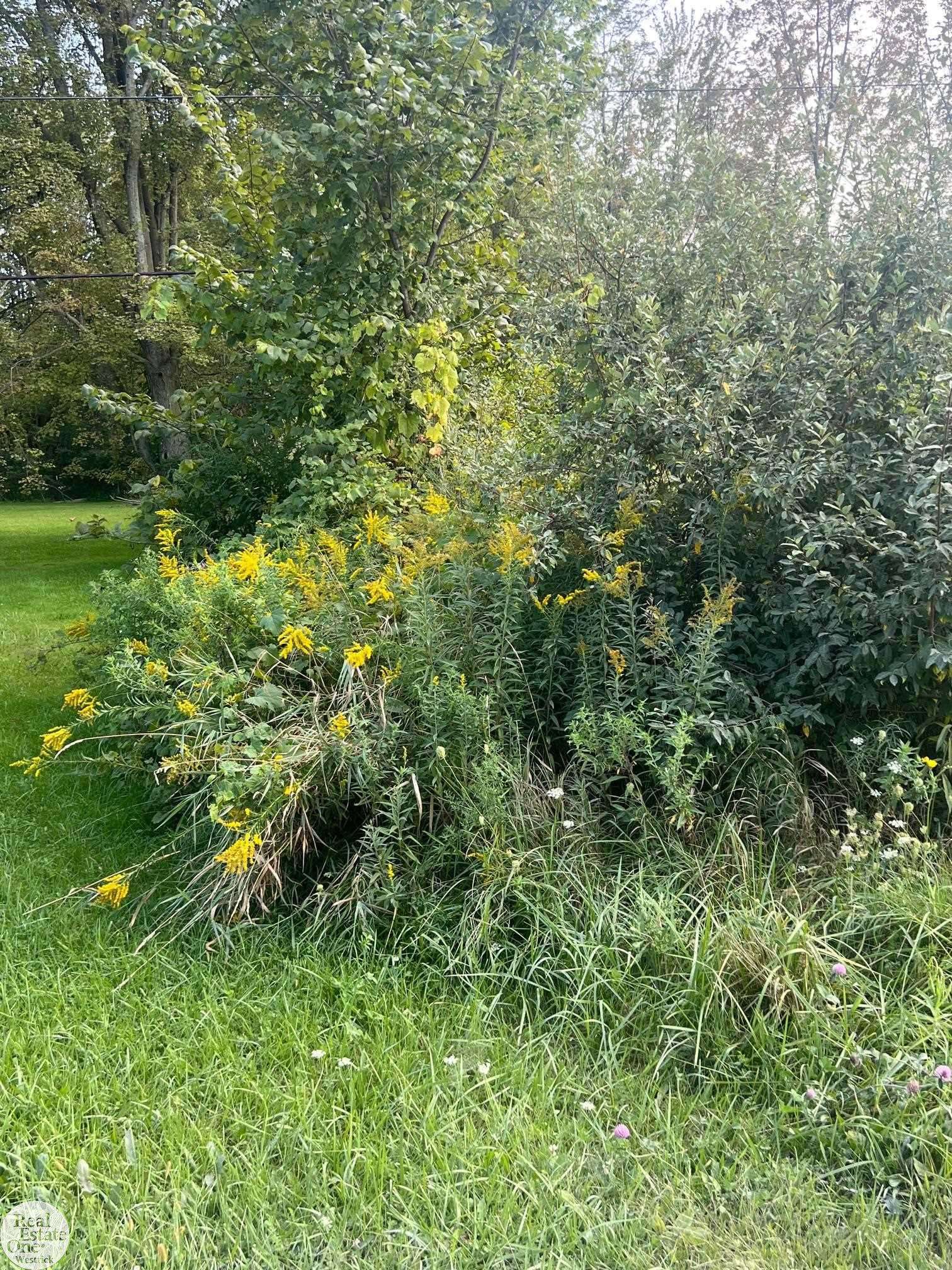 0 Broadbridge RD, Cottrellville Twp, MI 48039