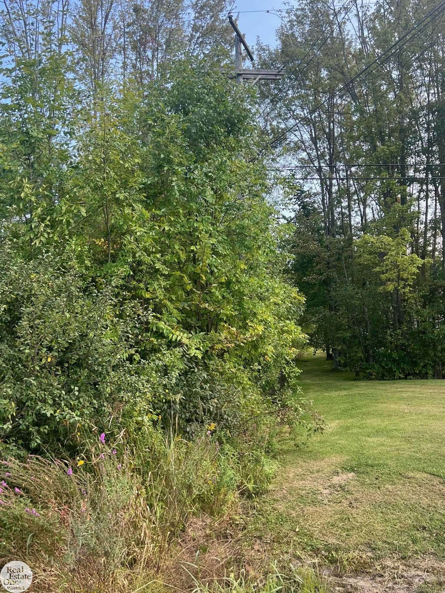 0 Broadbridge RD, Cottrellville Twp, MI 48039