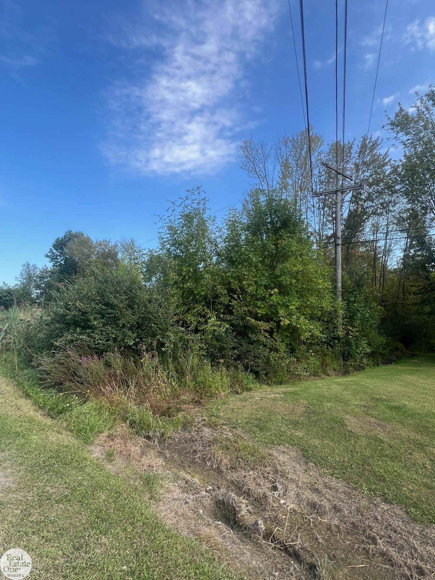 0 Broadbridge RD, Cottrellville Twp, MI 48039