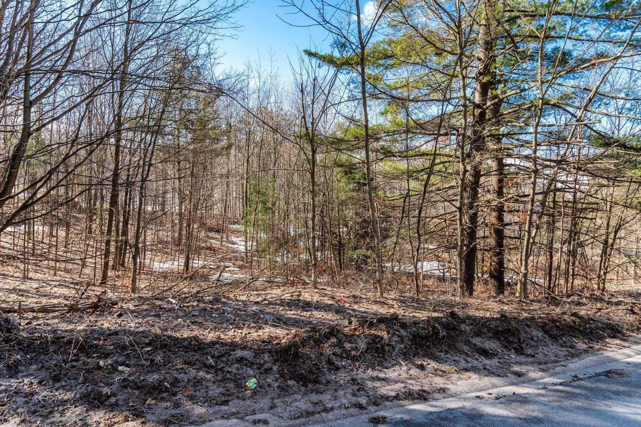 19 Birch Grove DR, Oro-medonte, ON L0L 2L0