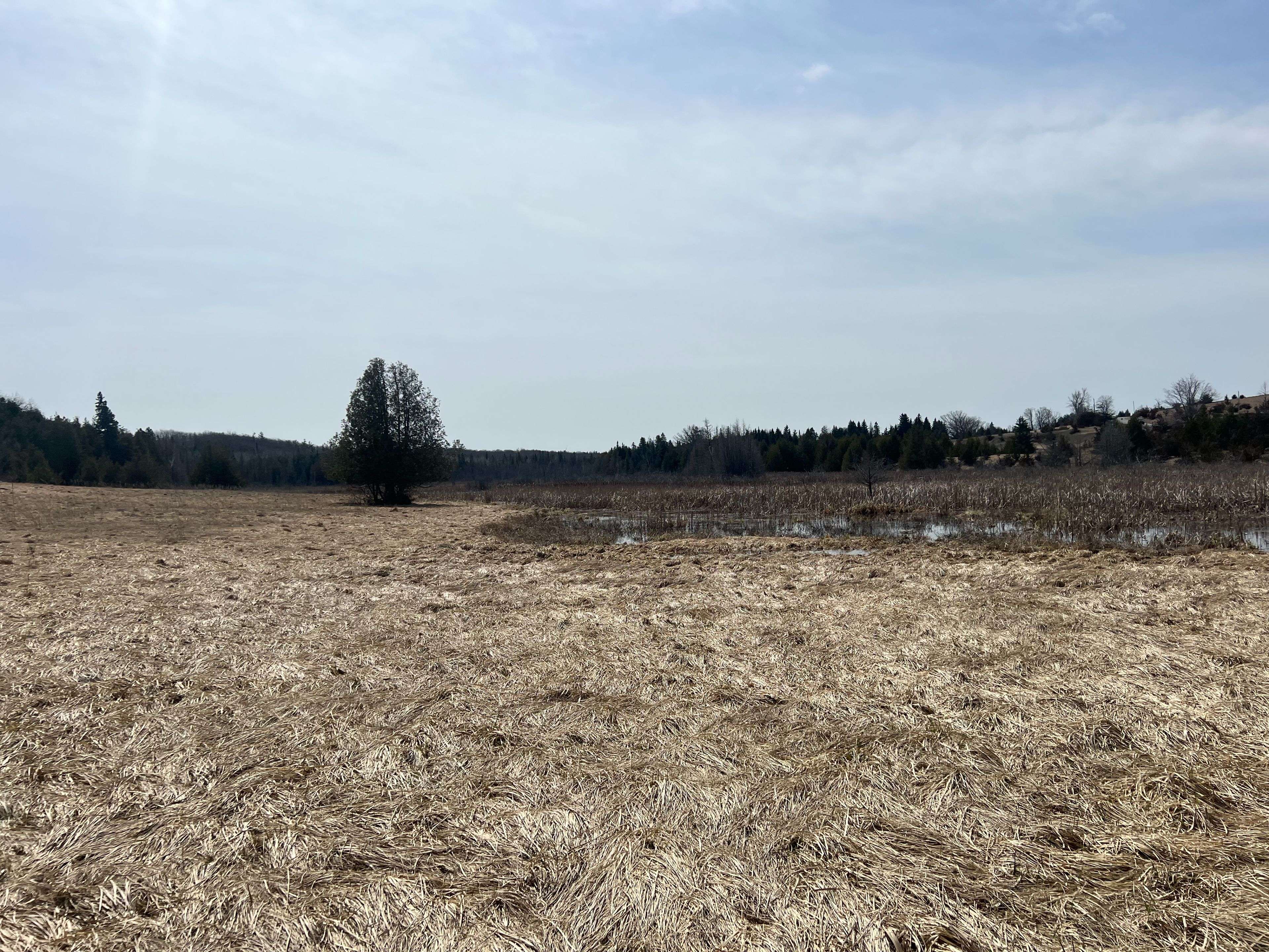 00 Concession Road 13 E N/A, Trent Hills, ON K0L 1Y0