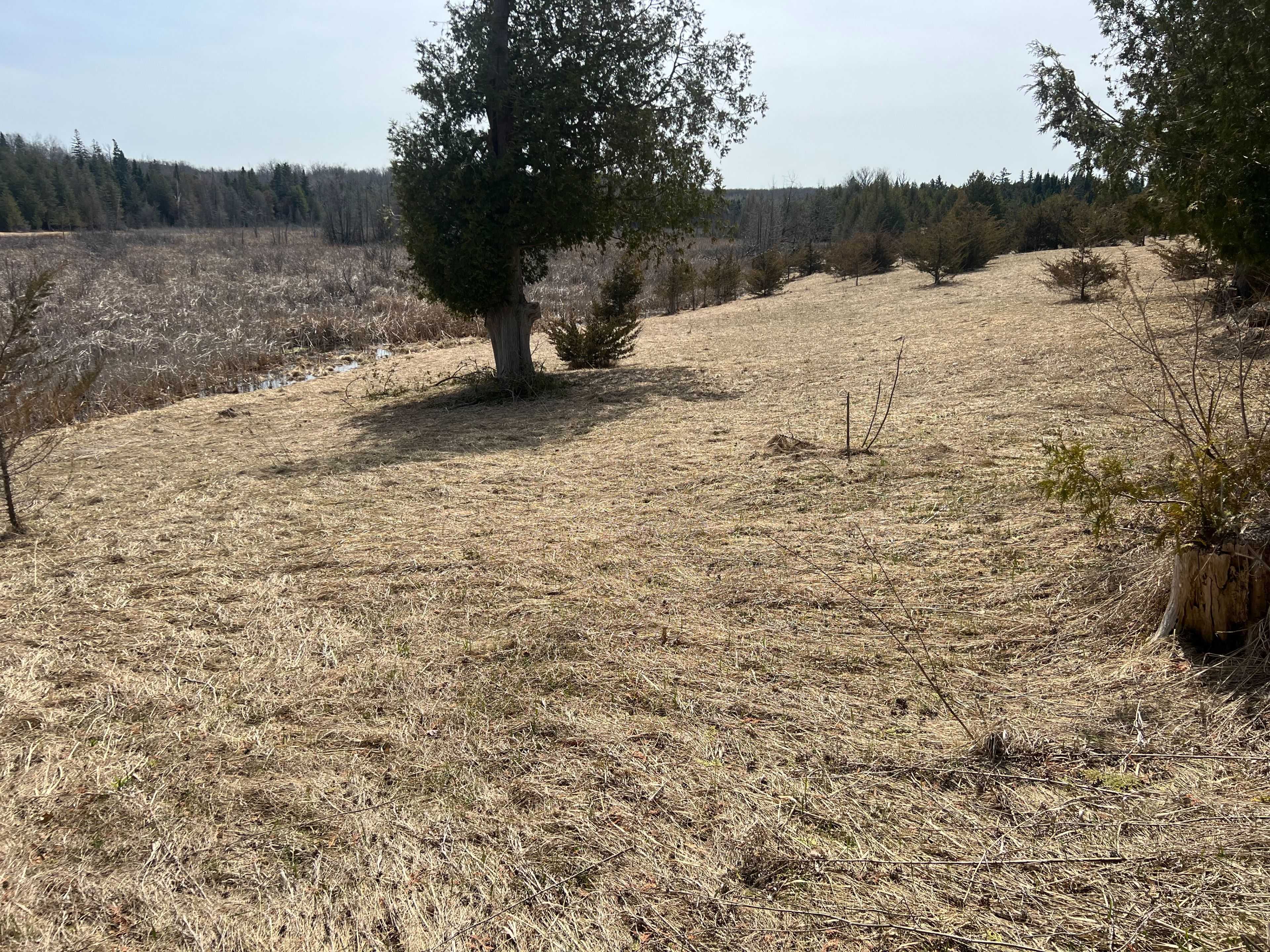 00 Concession Road 13 E N/A, Trent Hills, ON K0L 1Y0