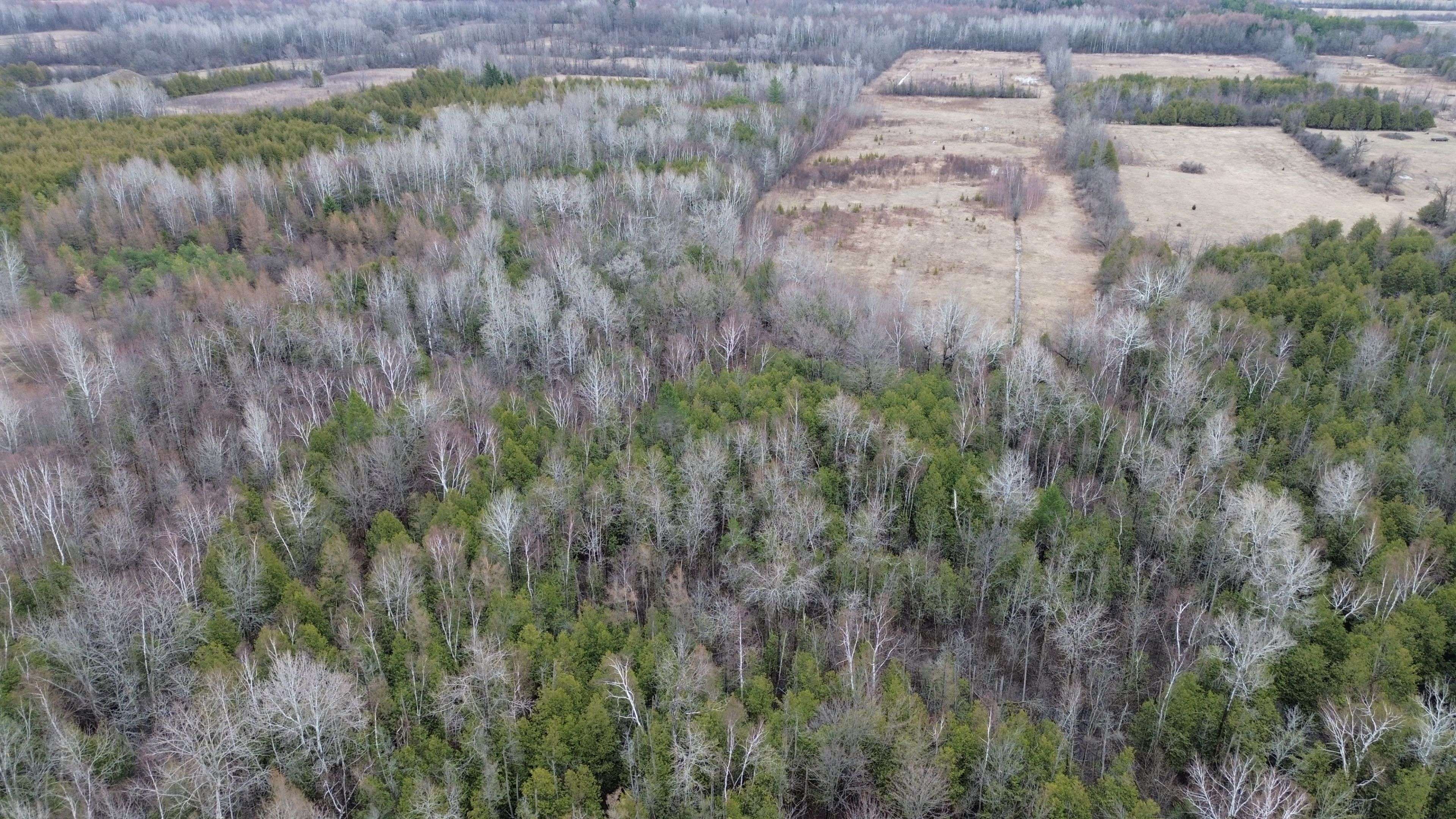 Lot 1 Kennedy RD, North Grenville, ON K0G 1J0