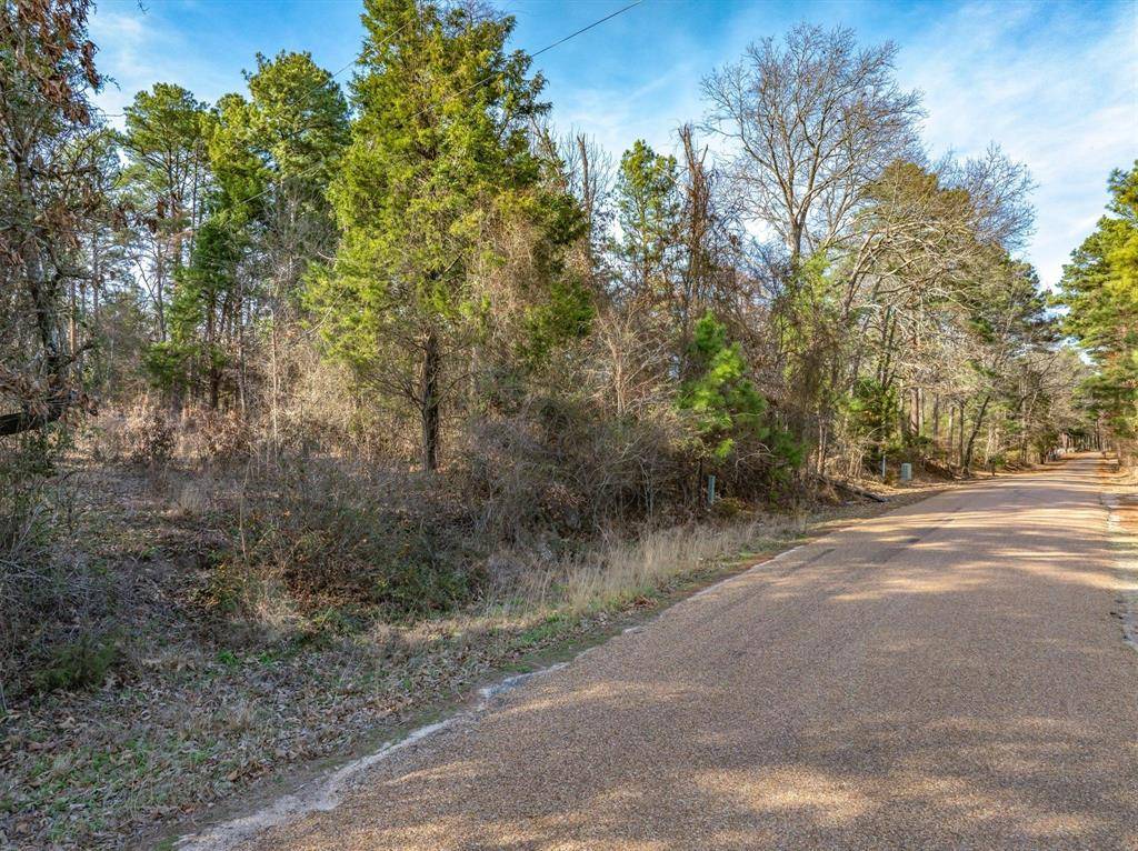 TBD County Road 3520, Brownsboro, TX 75756