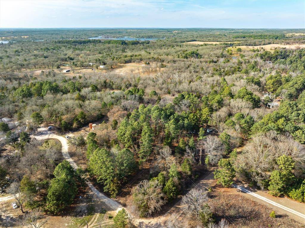 TBD County Road 3520, Brownsboro, TX 75756
