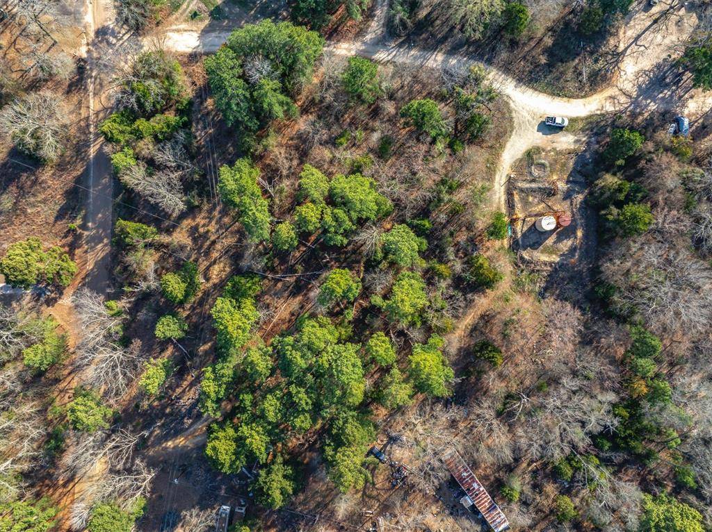 TBD County Road 3520, Brownsboro, TX 75756