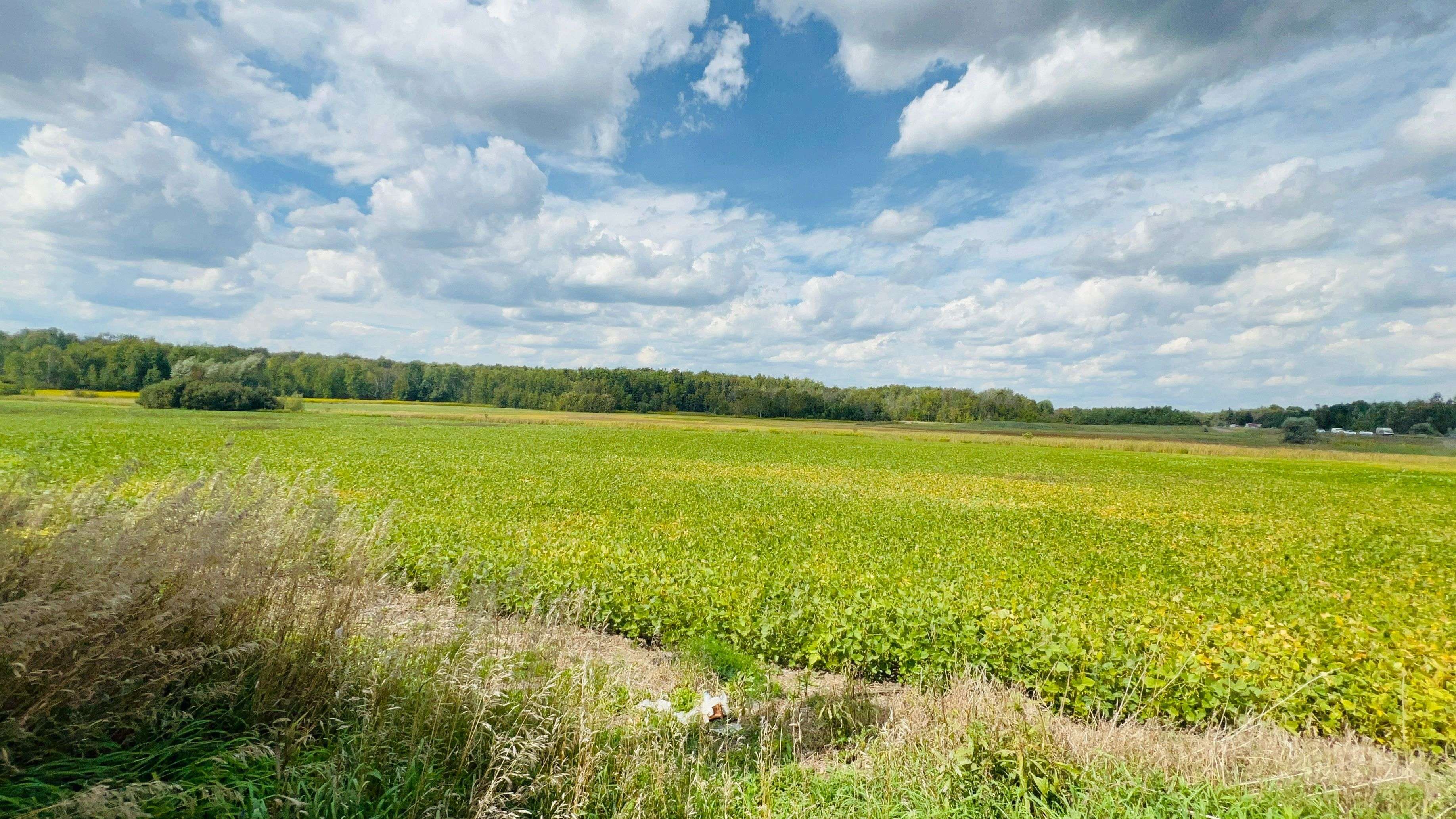 3526 Line 13 Line, Bradford West Gwillimbury, ON L0L 1L0