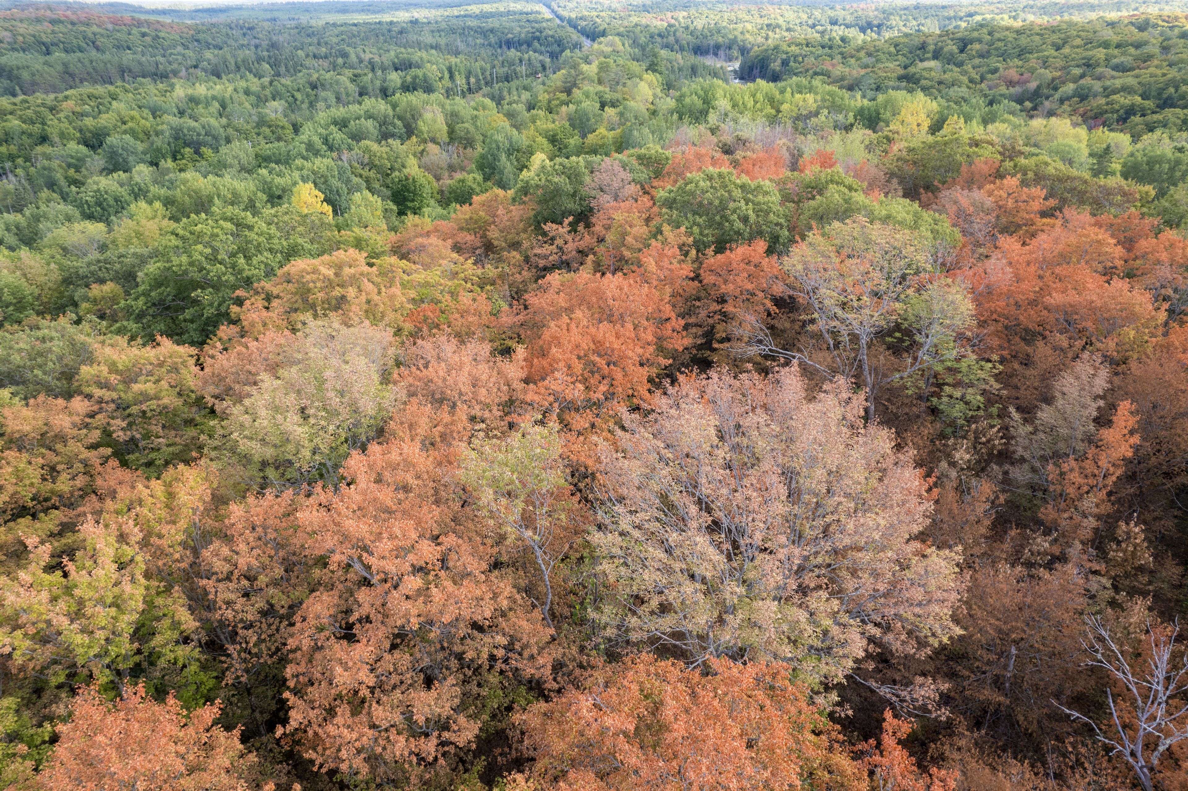 23 Rusaw RD, North Kawartha, ON K0L 1A0