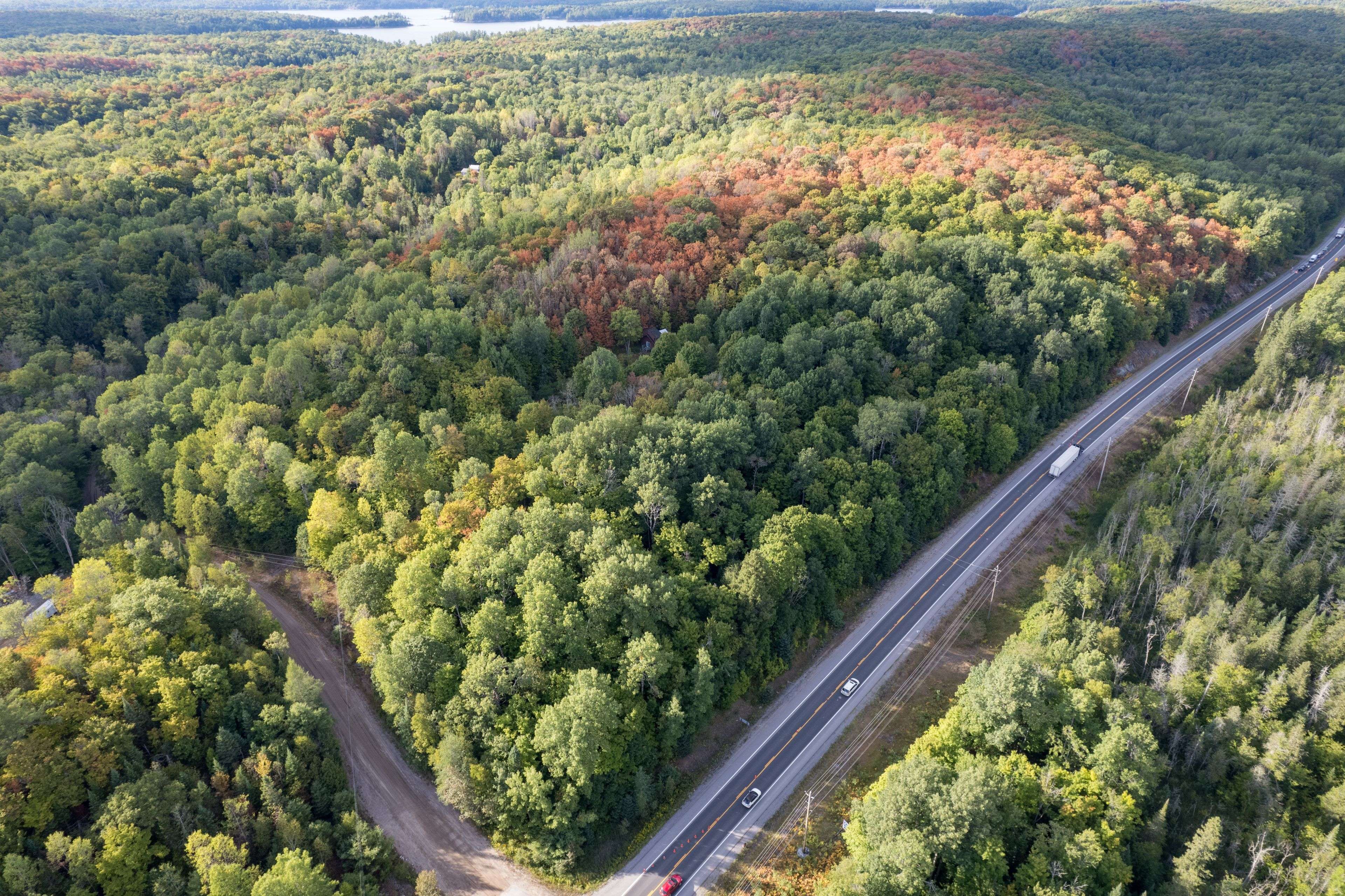 23 Rusaw RD, North Kawartha, ON K0L 1A0