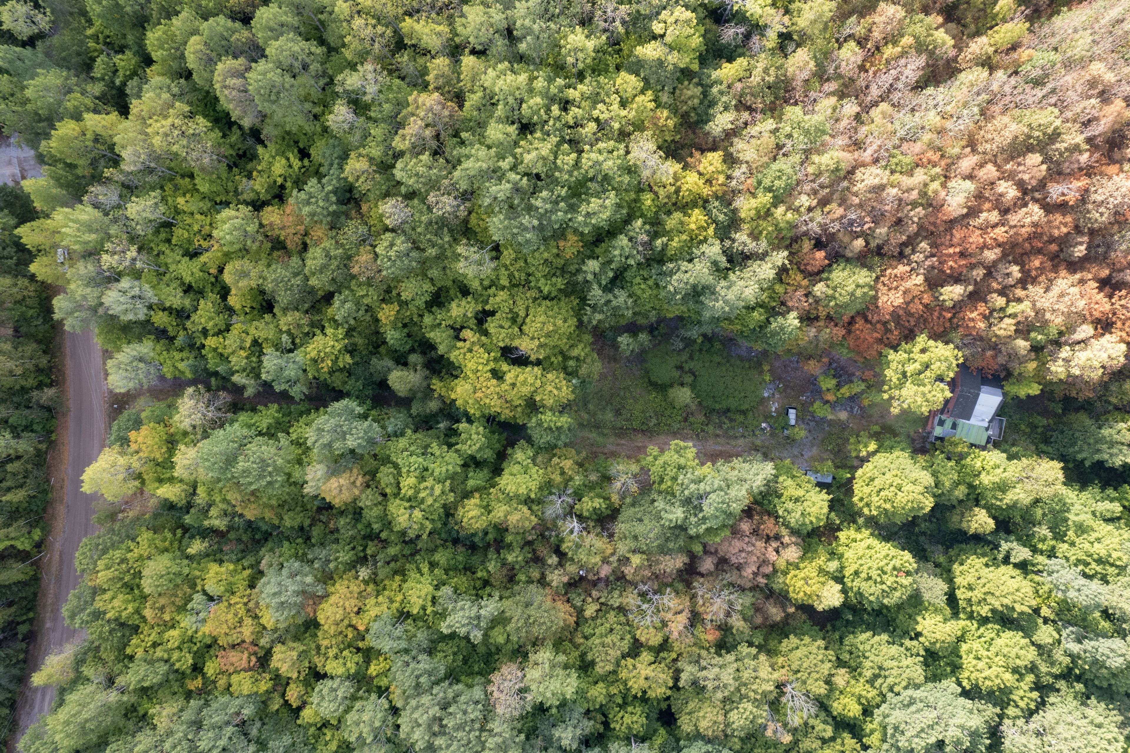 23 Rusaw RD, North Kawartha, ON K0L 1A0