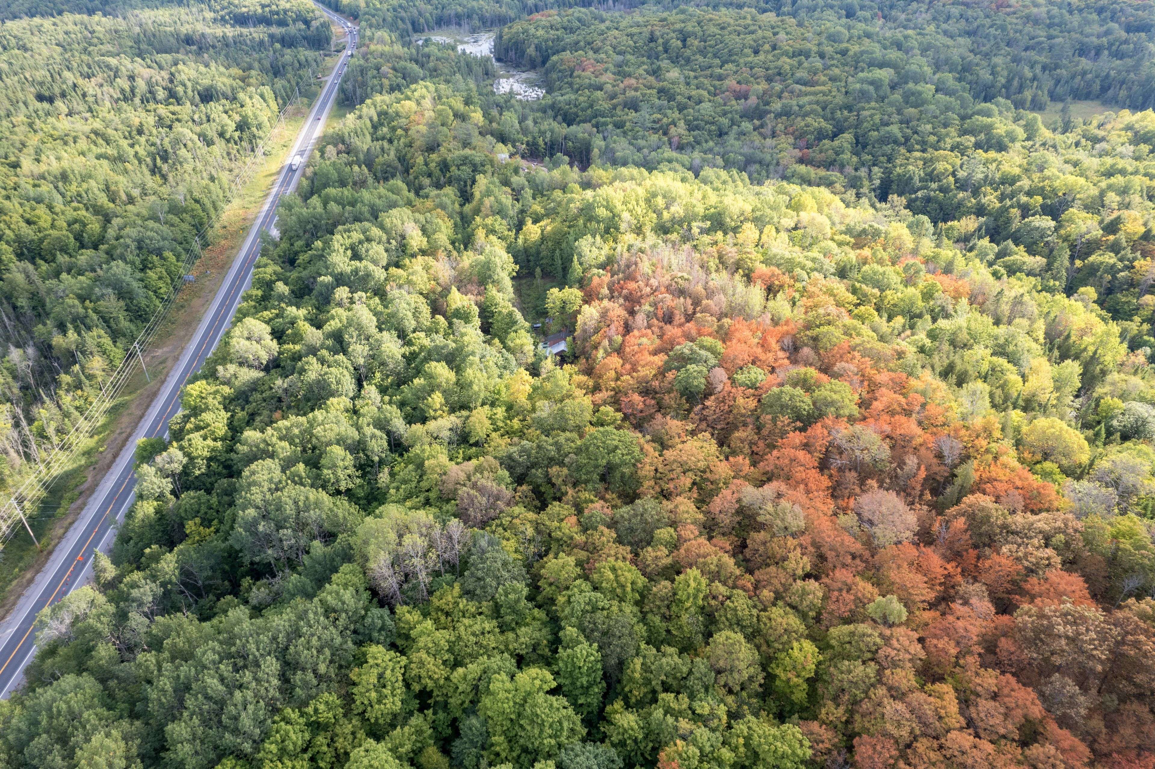 23 Rusaw RD, North Kawartha, ON K0L 1A0